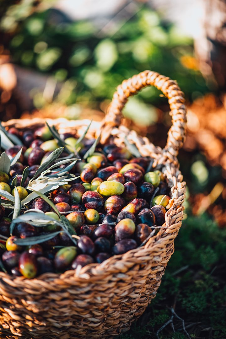 olives