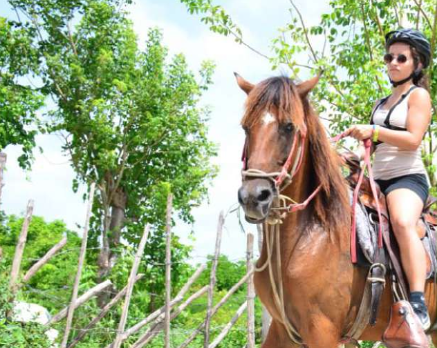 Horseback Riding Excursion