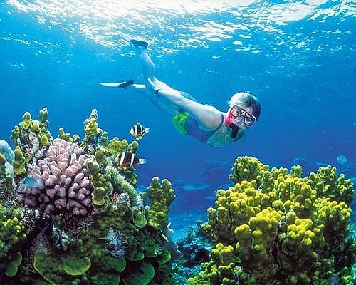 Snorkeling in the Reef straight out from The Fives  (Optional/Not Included)