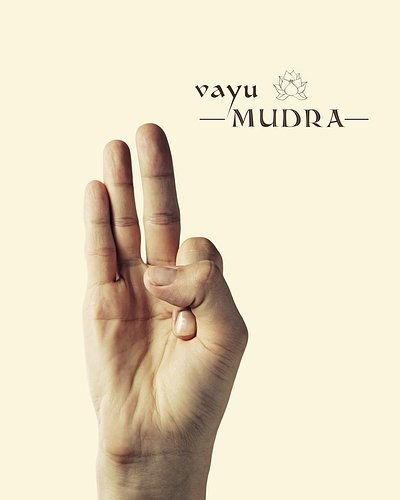 Danza Mudra
