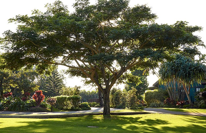 grounds16_1000x650