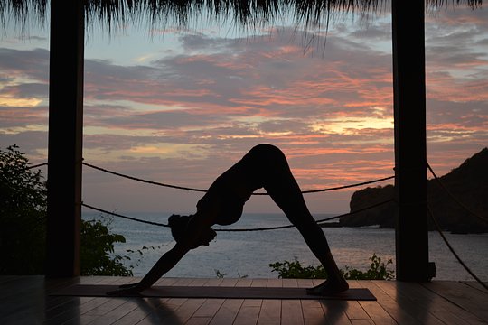 Ashtanga Yoga  1/2 Primary ~ 5:30pm