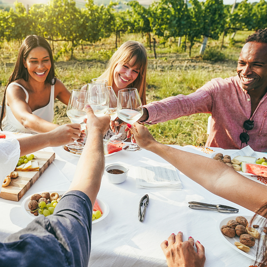 Explore a local vineyard