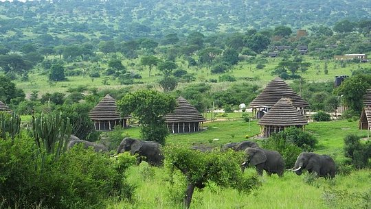 Heritage Safari Lodges