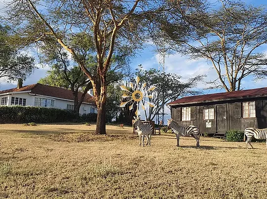 Crescent Island Giraffe House