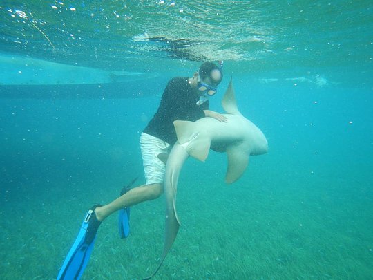 BOAT DAY TO CAYE CAULKER