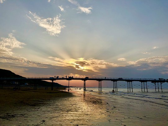 Saltburn's Wild Trailer 
