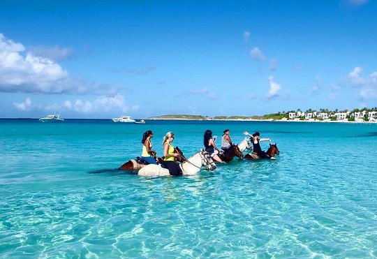 Horseback Riding