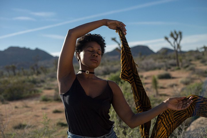 Disconnect In The Desert 