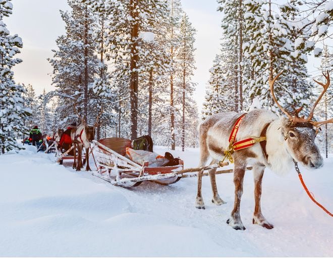Reindeer Ride