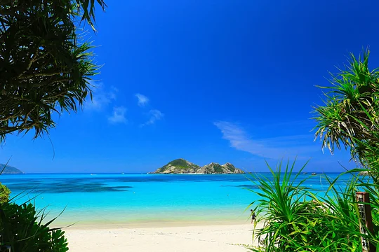 4 Day Trip Extension to Okinawa - Private Room