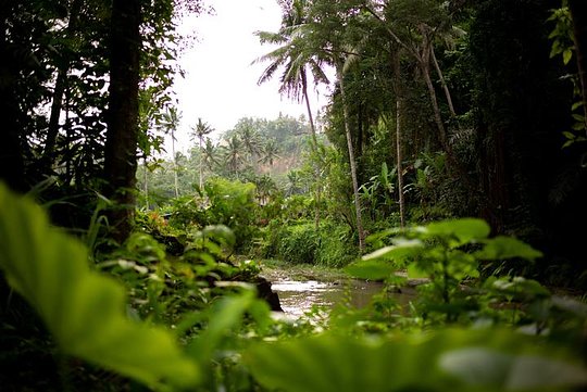 Sandoval Lake Lodge - Tambopata Reserve