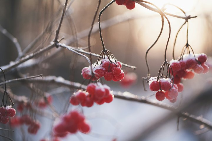 mariaHYDL8uARCN8unsplash