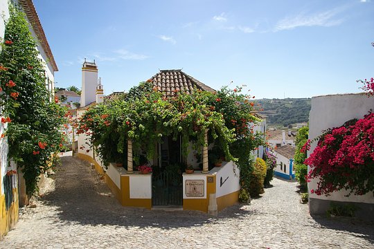 Excursion to Local Towns