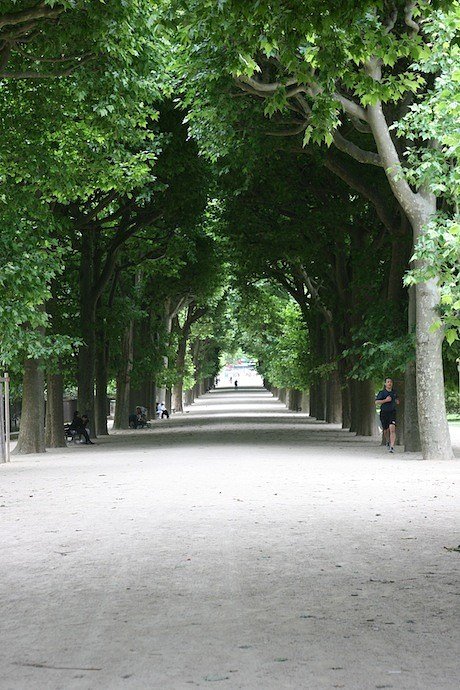 trees_IMG_7982111