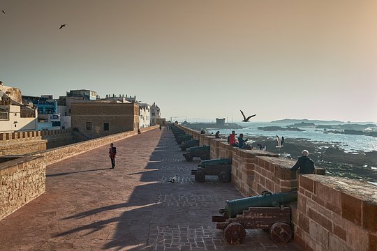 Prime Medina Location