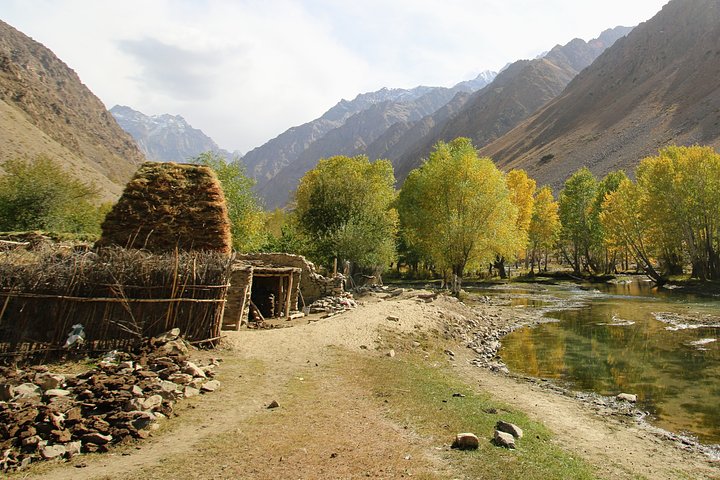basid