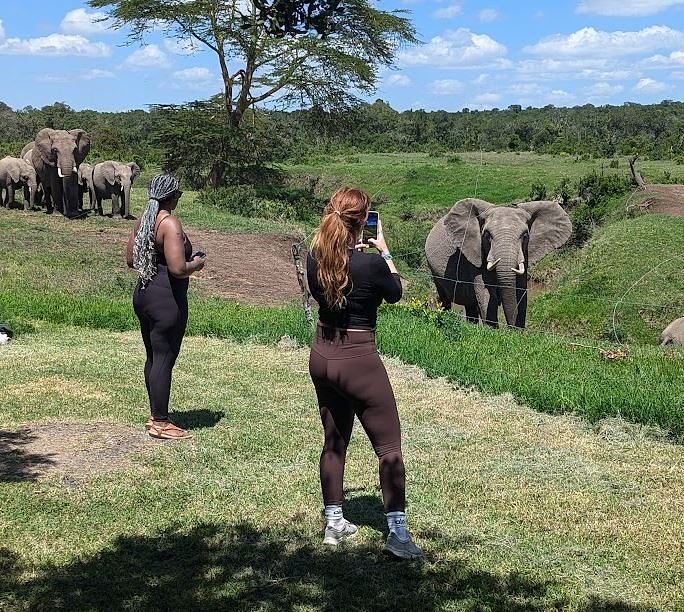Elephantsinyoga