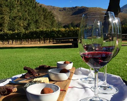 Wine Farms