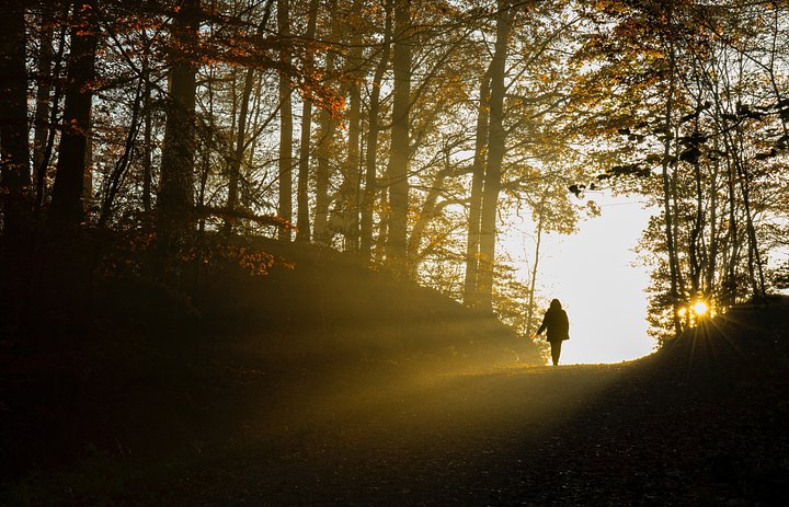 ricardogomezangel210iNuGQXUunsplash