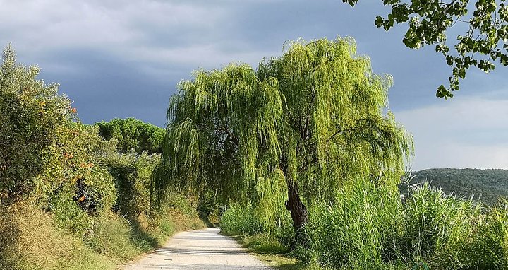 Tuscia_03