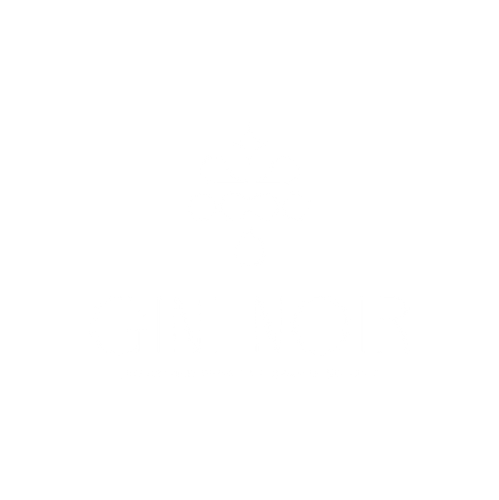 GiniNoirLogo05