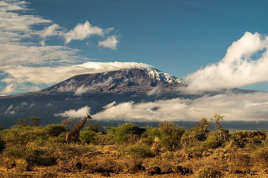 Luxe Adventure: Summit Kilimanjaro via the Machame Route