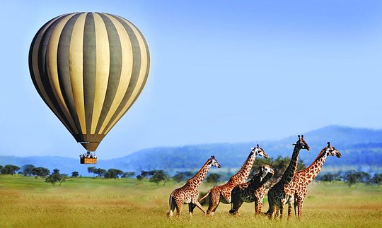 Hot Air Balloon Safari over the Serengeti (Tanzania)