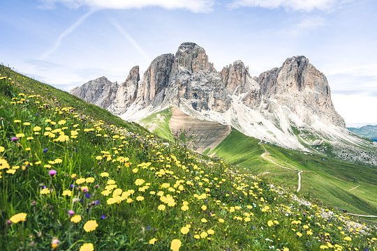 STUNNING LANDSCAPES