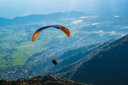 Paragliding over olive fields
