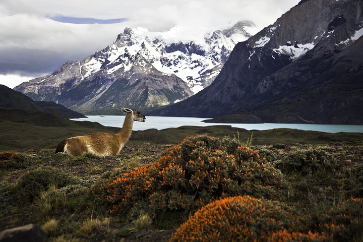 iStock117149827