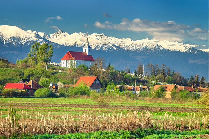 The Transylvania Family Experience