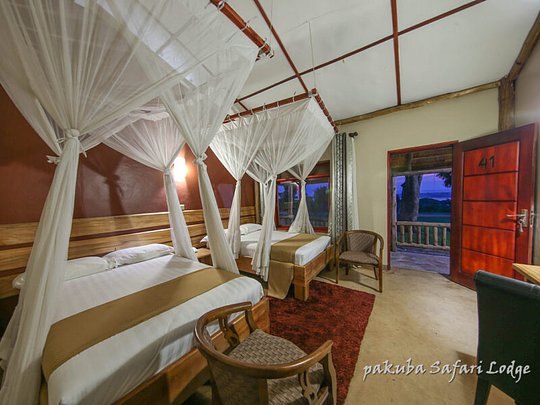Pakuba Safari Lodge