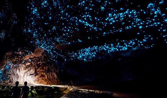 Explore the world-famous Waitomo Glowworm Caves