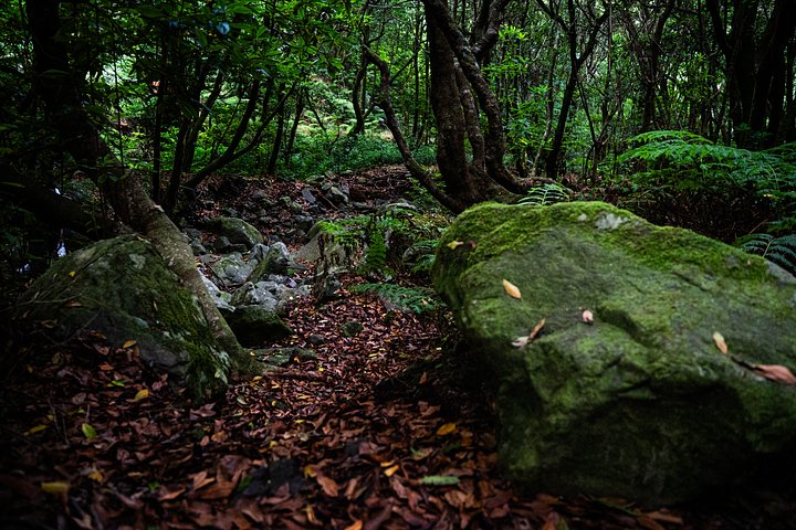 DSC_5694