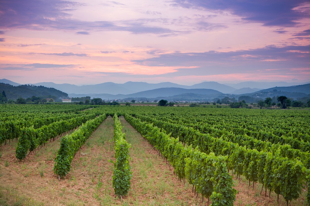 Provence