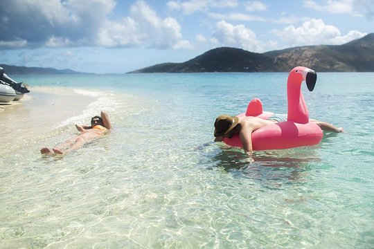 ISLAND LIFE
