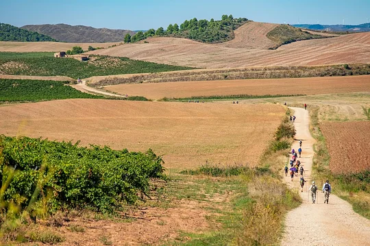 Indulge in the peacefulness of trail life