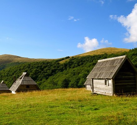Biogradska Gora