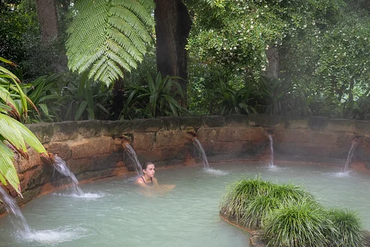 Soak in a iron-rich thermal bath in the lush Terra Nostra Park