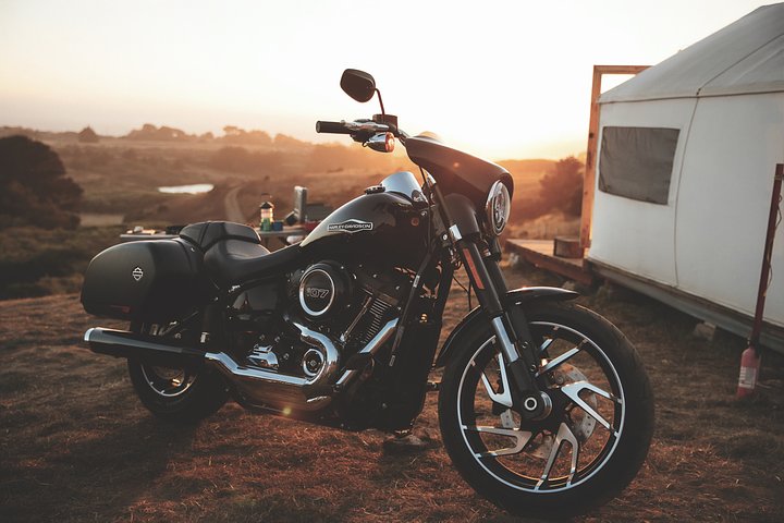 Texas By Harley