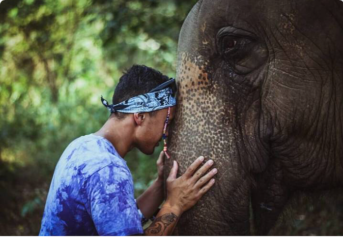 Ethical Elephant Experience