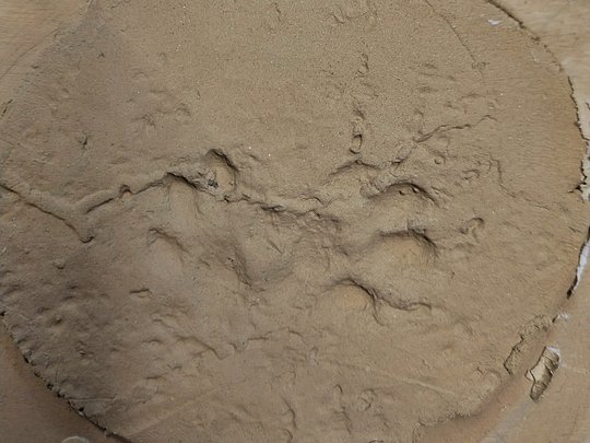 Natural materials and contemporary 3D printing technology
