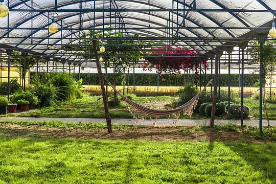 Visit an immersive hillside farm estate, making your own unique blend of handpicked herbs to take home
