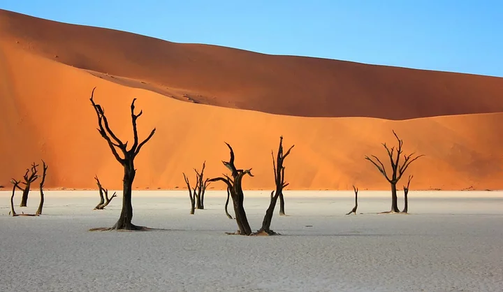 namibia9