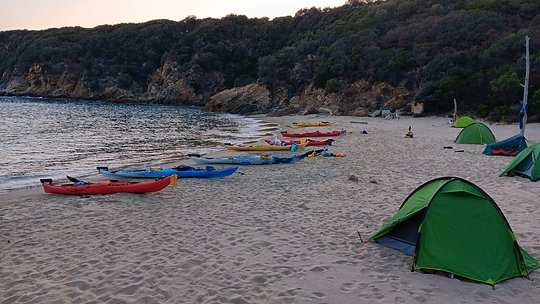Tent or Accommodation? 