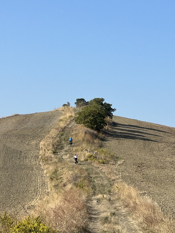 IE2023_20231007_08