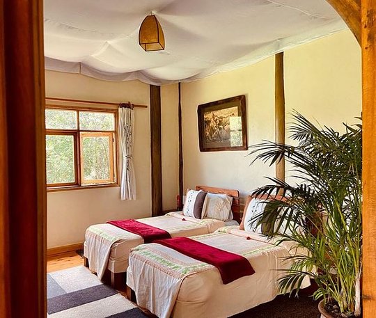 Shared Accomodations
