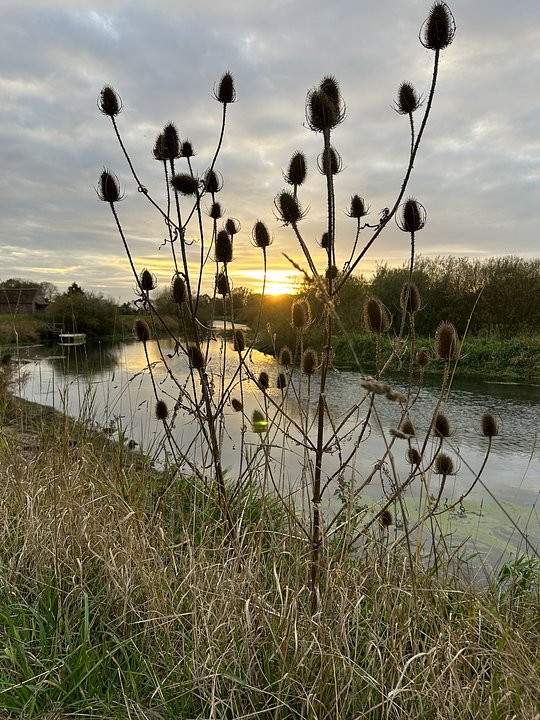 Wild Pop Up Sauna On The River Hull Near Brandesburton