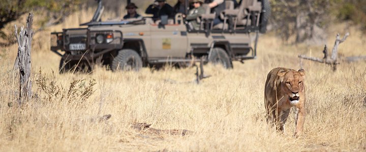 The Botswana Desert to Delta Experience